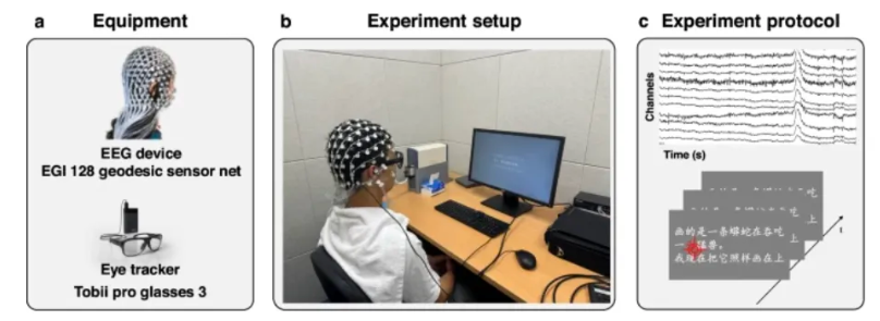 国内研究者利用高密度EGI脑电图进行EEG数据集采集以揭示中文语言处理的神经机制